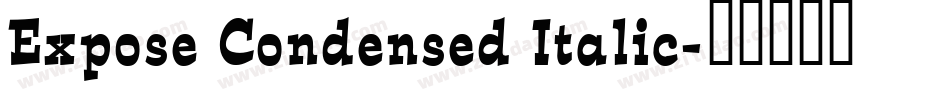 Expose Condensed Italic字体转换